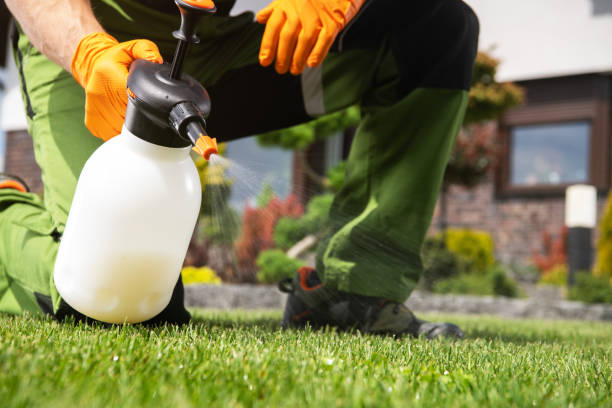 Pest Control Cost in Camp Pendleton South, CA