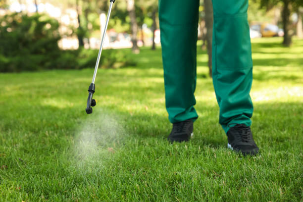 Best Wildlife Control Services  in Mp Pendleton South, CA