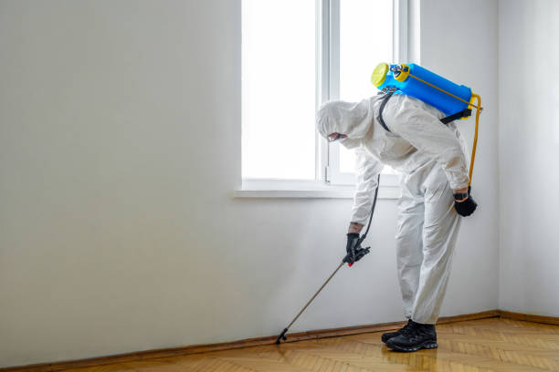Trusted Camp Pendleton South, CA Pest Control Experts