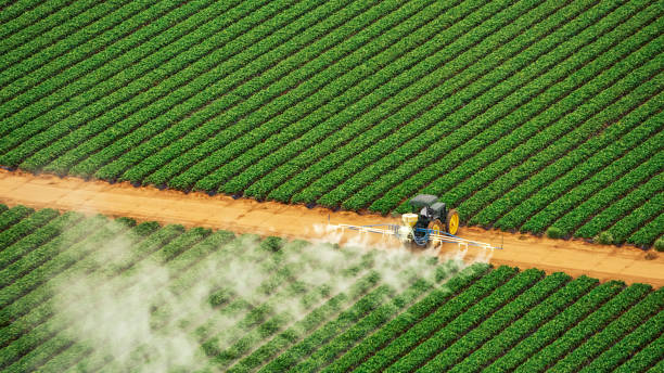 Best Ant Control Services  in Mp Pendleton South, CA