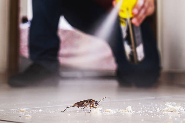 Best Pest Prevention Services  in Mp Pendleton South, CA