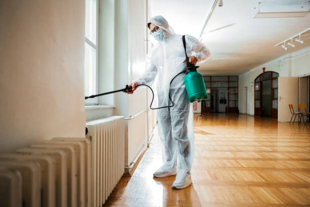 Best Affordable Pest Control Services  in Mp Pendleton South, CA