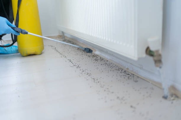 Best Cockroach Control Services  in Mp Pendleton South, CA