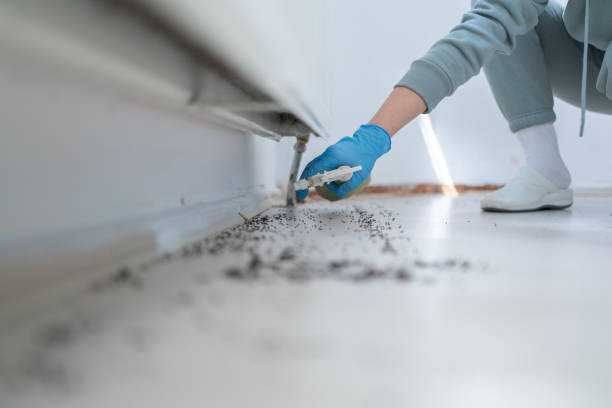 Best Commercial Pest Control Services  in Mp Pendleton South, CA